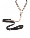 Collier et laisse Statement - Taboom